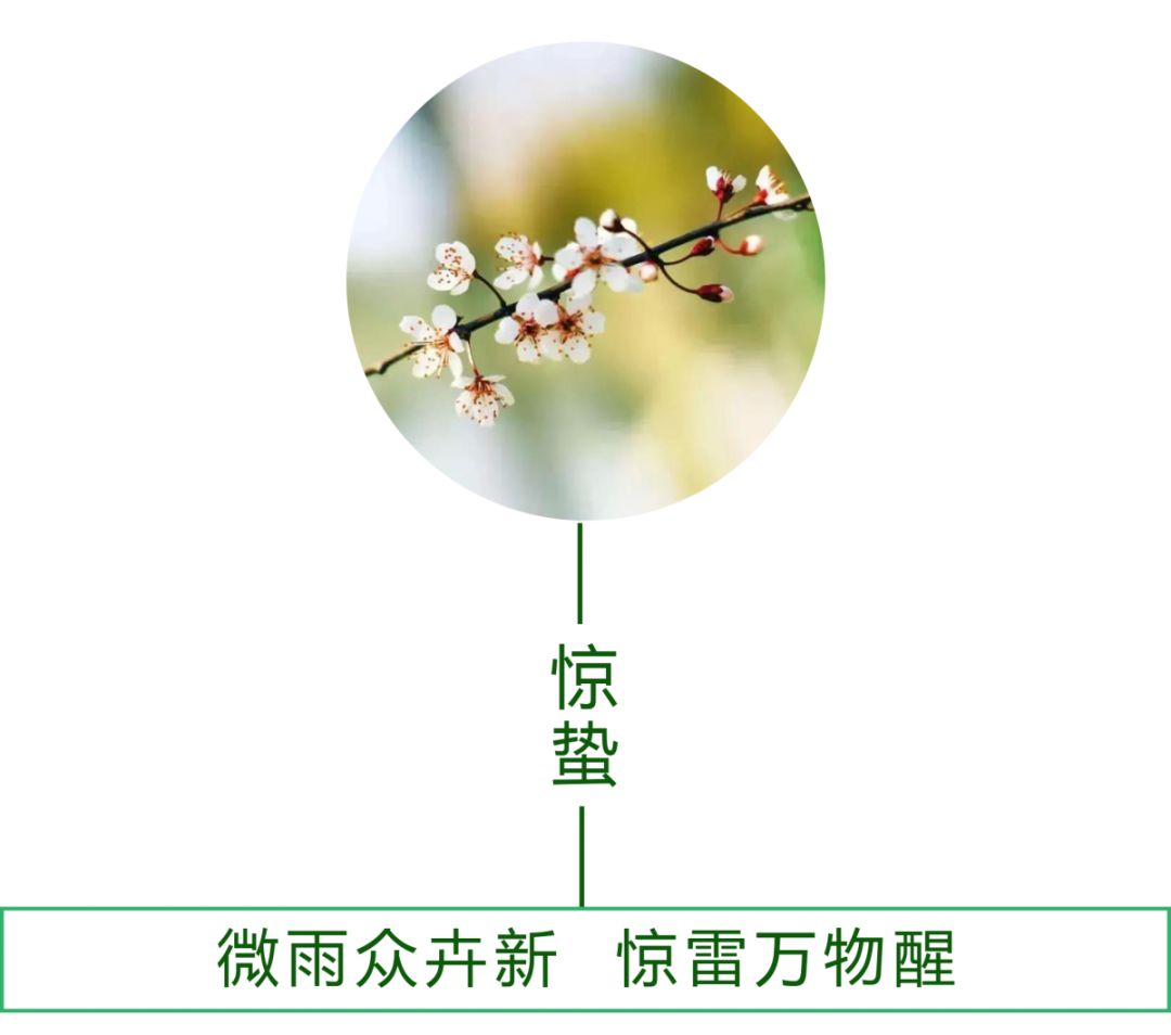 驚蟄一聲雷，葆德送春風