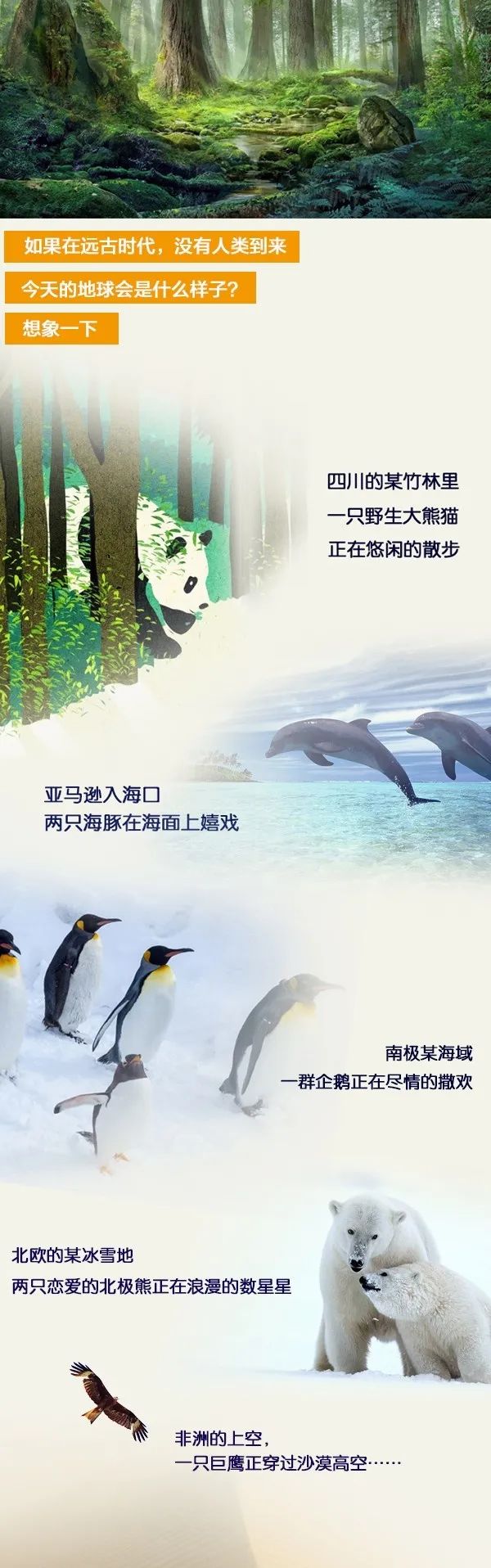 地球一小時(shí) | 葆德能做的，遠(yuǎn)不止這一小時(shí)