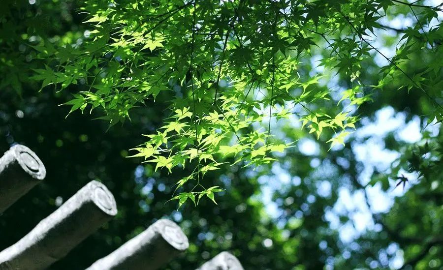 進入夏季高溫期，空壓機常見故障排除竅門