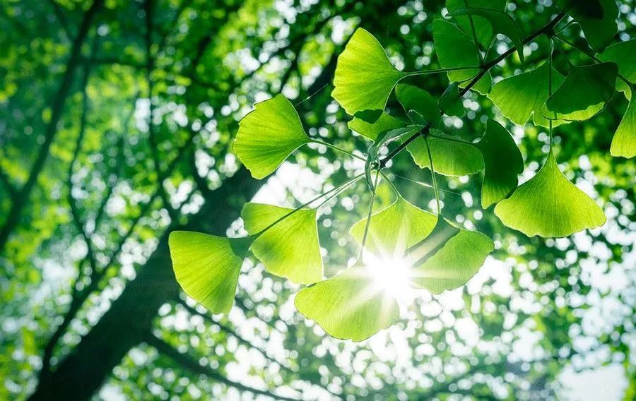 進入夏季高溫期，空壓機常見故障排除竅門