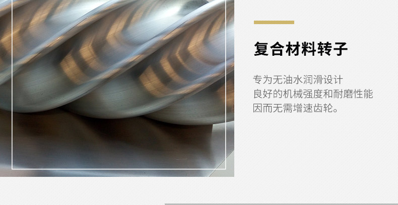 葆德BD-GSAV水潤(rùn)滑無(wú)油螺桿機(jī)10