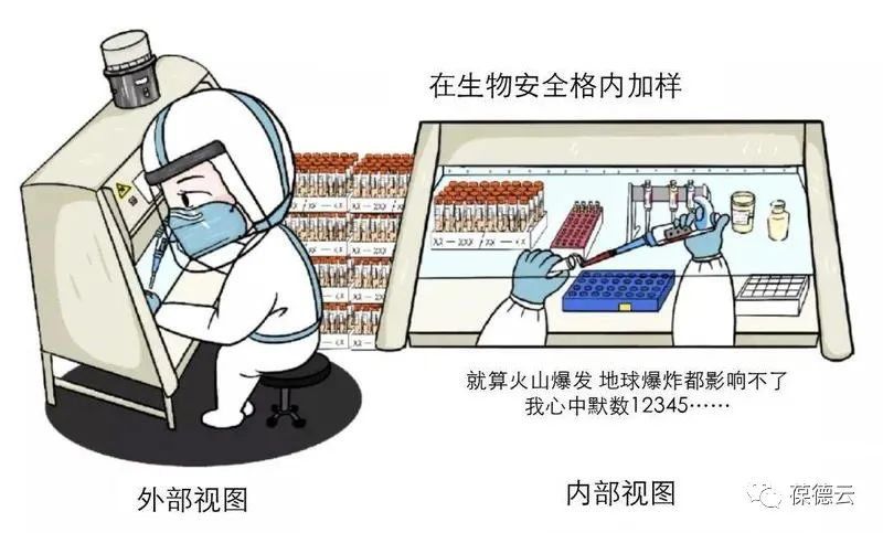 圖解核酸檢測，助力抗疫，葆德一直在行動(dòng)!