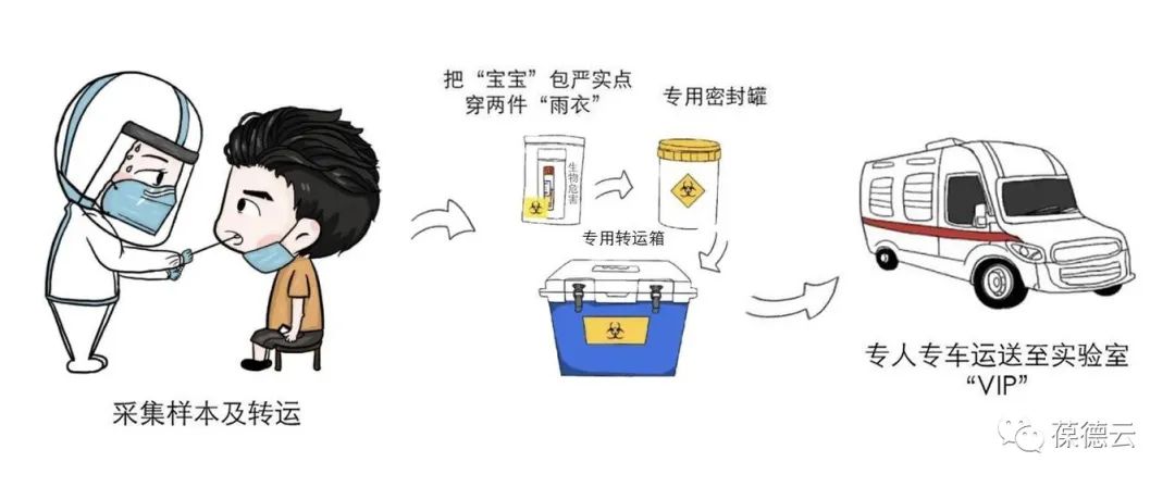 圖解核酸檢測，助力抗疫，葆德一直在行動(dòng)!