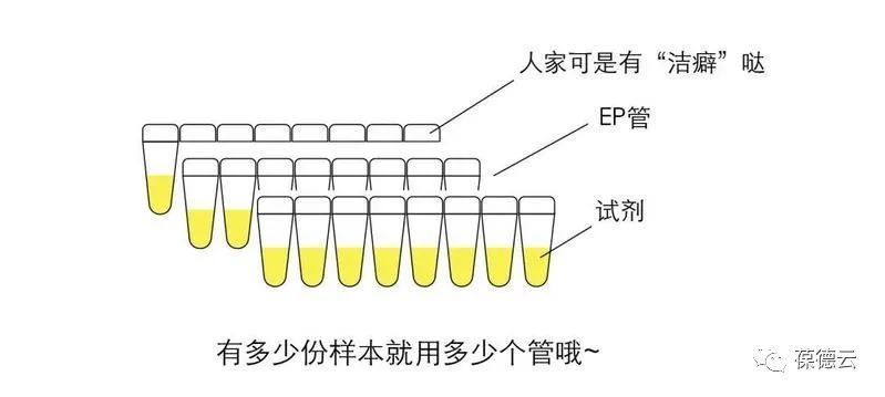 圖解核酸檢測，助力抗疫，葆德一直在行動(dòng)!