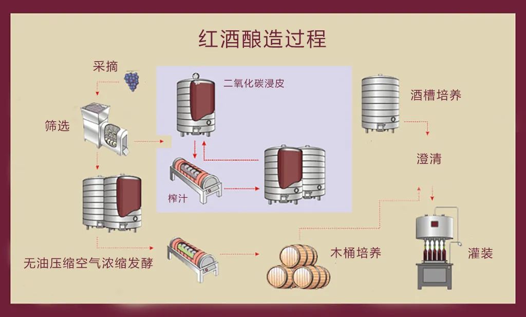 漲知識(shí)｜紅酒內(nèi)有“活”的生物？?jī)?nèi)行人知道的“秘密”！