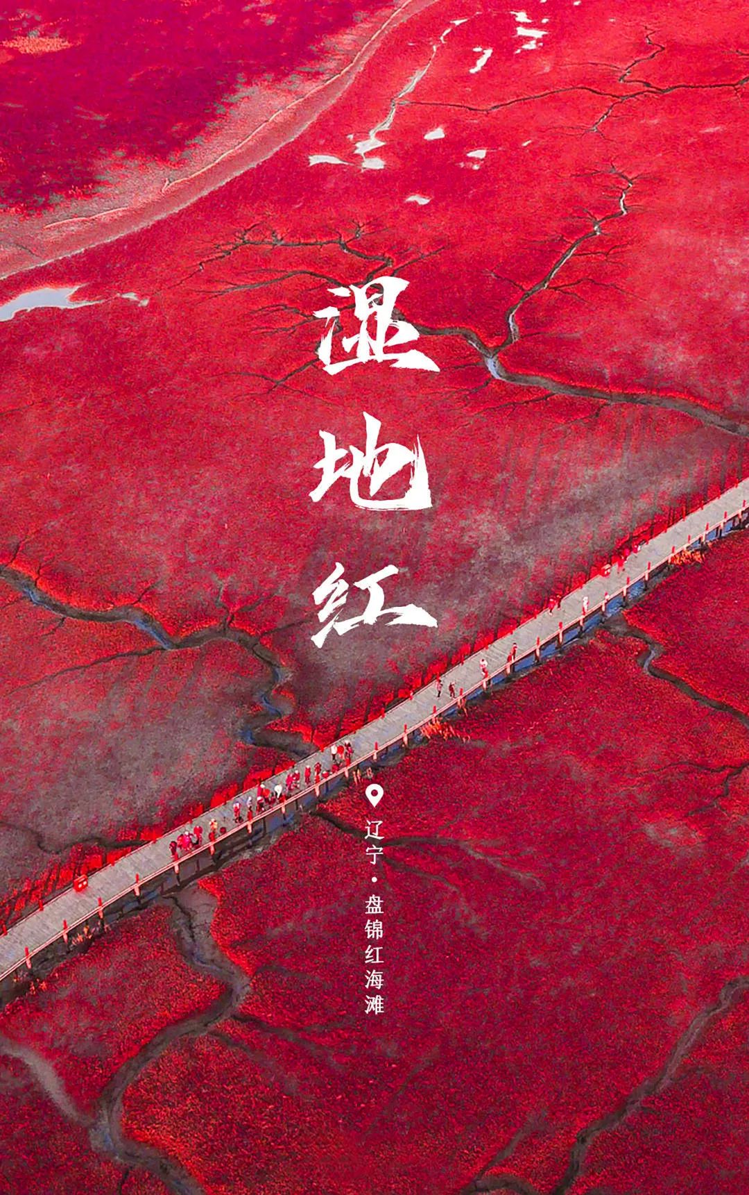 世界環(huán)境日 | 用數據驅動節(jié)能降耗，建設人與自然和諧共生！