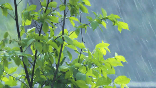 梅雨季必備之空壓機、空壓站的防雨防潮攻略