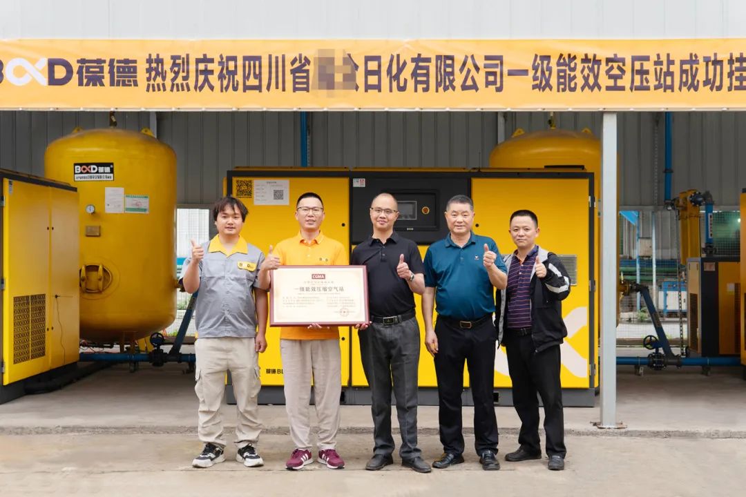 年省76萬(wàn):葆德一級(jí)能效數(shù)智空壓站+日化企業(yè)節(jié)能改造案例分析